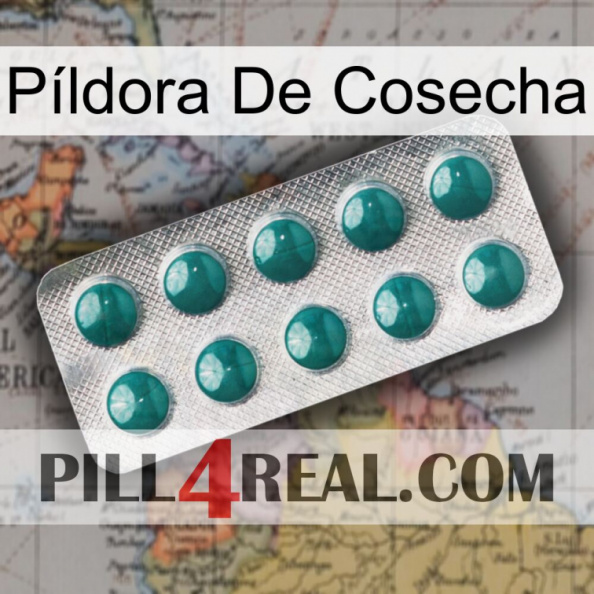 Píldora De Cosecha dapoxetine1.jpg